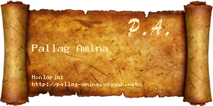 Pallag Amina névjegykártya